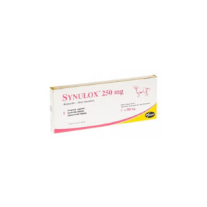 Antibiótico Synulox 50mg 10 Comprimidos - Bella e Cia Petshop