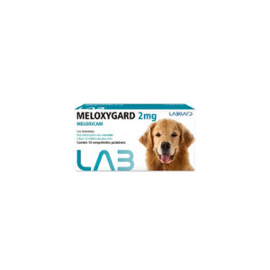 Meloxigard Meloxican 2mg - Bella e Cia Petshop