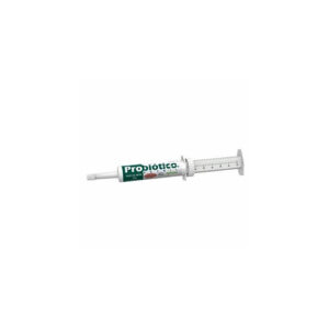 Suplemento vitaminico probiotico para caes e equinos 34g - vetnil - Bella e Cia Petshop