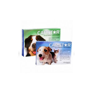 Capstar 57mg 11 A 57 Kg - Bella & Cia Petshop