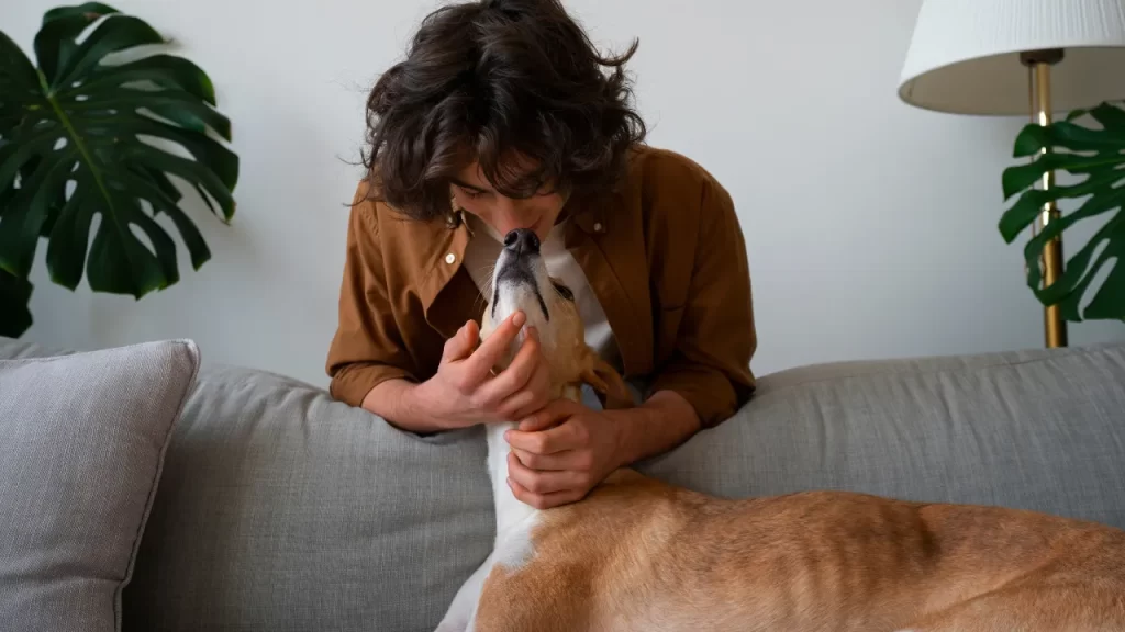 Tutor carinhosamente abraçando o cachorro no sofá, demonstrando apoio e afeto diante da Ansiedade de Separação em Cães.