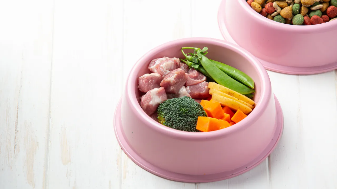 Tigela rosa com alimentos naturais para pets, contendo pedaços de carne crua, brócolis, abóbora, vagem e batata-doce, sobre uma superfície branca.