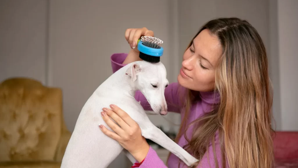 Mulher escovando um cachorro branco com uma escova azul e preta, demonstrando cuidado com a higiene e saúde do pet. importância  da vermifugação e antipulgas